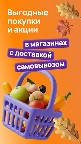 Дикси — скриншот 1