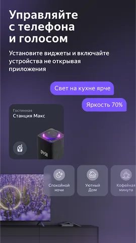 Дом с Алисой — скриншот 5