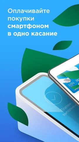 Mir Pay — скриншот 2