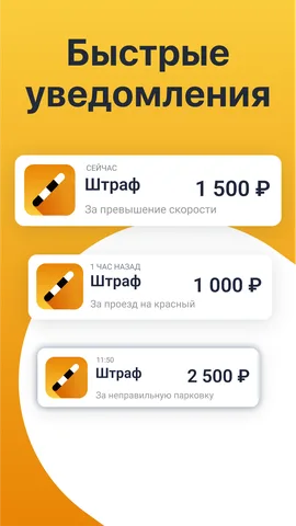 РосШтрафы — скриншот 5