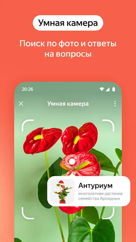 Яндекс — скриншот 8